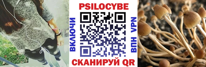 купить наркотики сайты  Нерехта  Псилоцибиновые грибы мухоморы 
